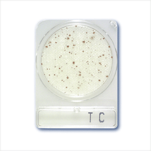 COMPACT DRY TC