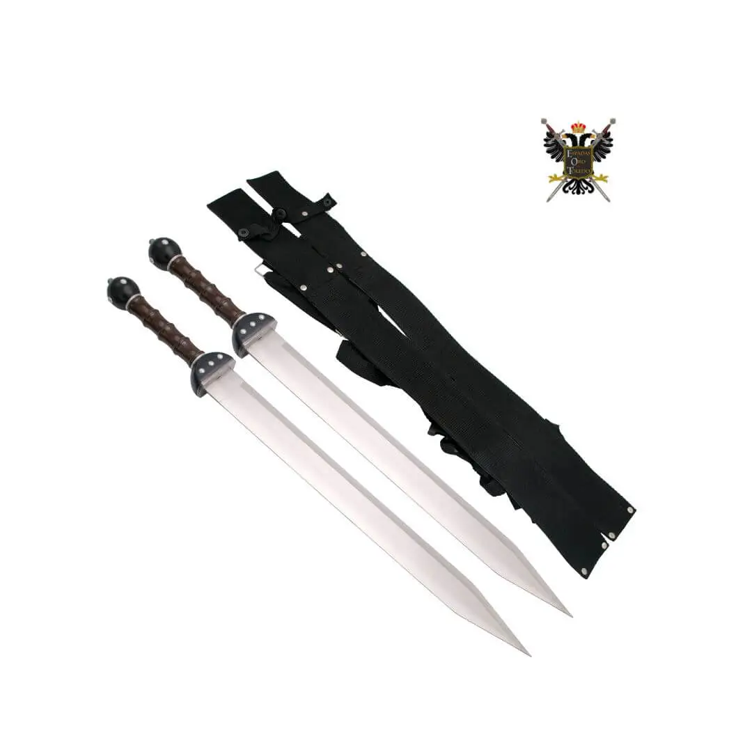Espadas dos Gladius con funda