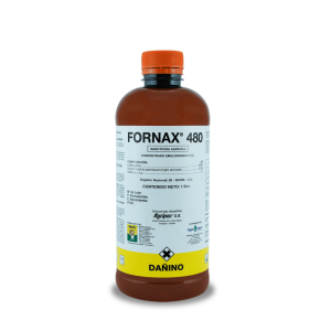 Fornax