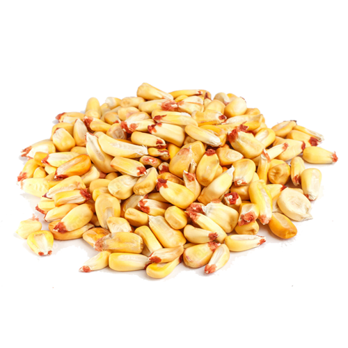 Chulpi 0.45Kg - Imagen 2