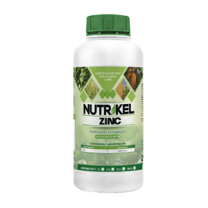 Nutrikel Zinc Plus