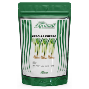 Cebolla Puerro Variedad Puerro American Flag