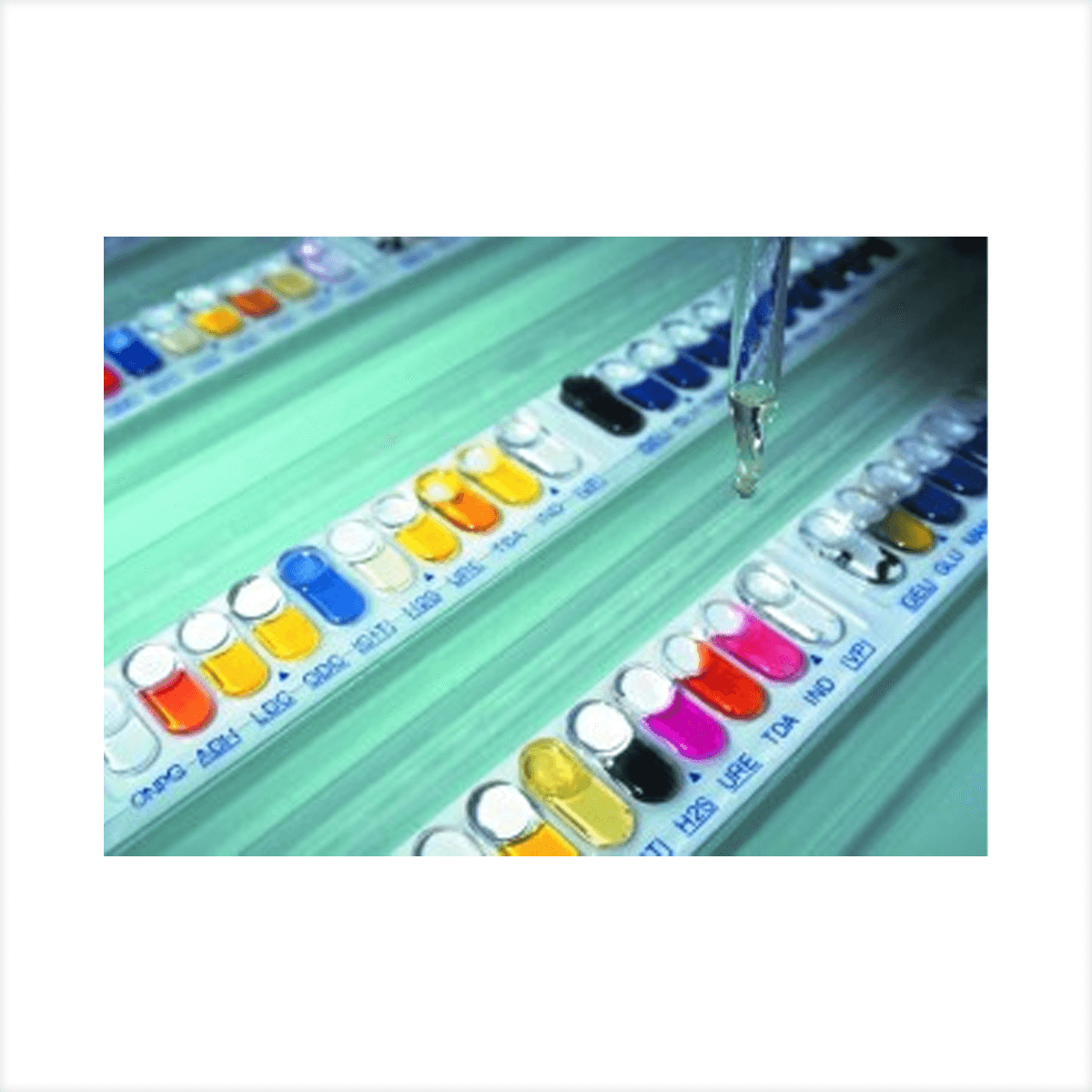 SISTEMA DE IDENTIFICACION BACTERIANA API BIOMERIEUX - Imagen 2