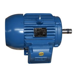 Motor Eléctrico Weg Trifásico 3 Hp 4 Polos 00318et3em182tw – Rmw300